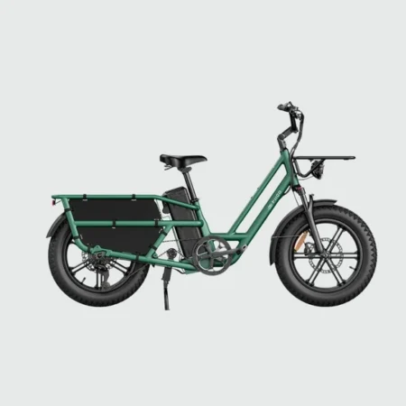 Buy Fiido T2 Longtail Cargo E-Bike