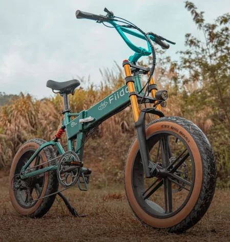 Buy Fiido M1 Pro Fat Tire Electric Bike